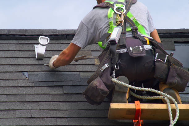 Best Local Roofing Companies  in Alamo, TN