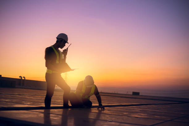 Best Roof Gutter Cleaning  in Alamo, TN