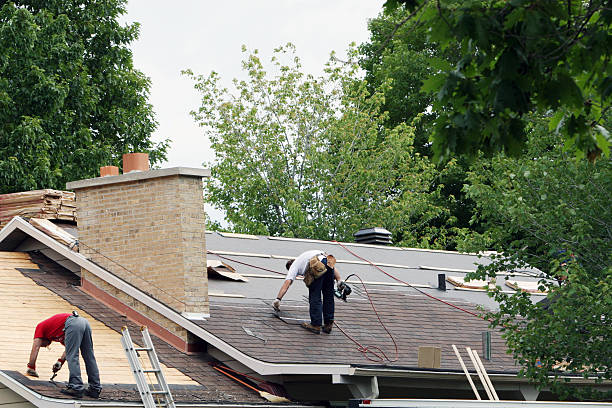 Quick and Trustworthy Emergency Roof Repair Services in Alamo, TN