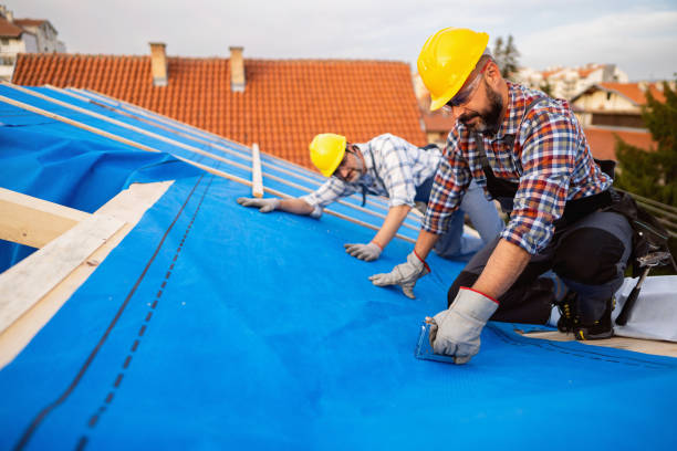 Best Emergency Roof Repair  in Alamo, TN