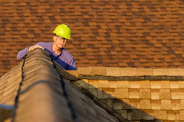 Best Storm Damage Roof Repair  in Alamo, TN