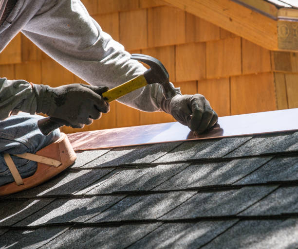 Roof Gutter Cleaning in Alamo, TN